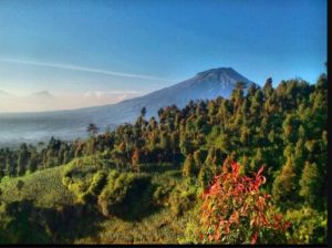 gunung beser temanggung