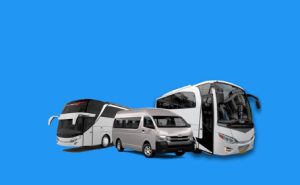 sewa bus pernikahan depok
