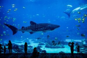 wisata Jakarta untuk keluarga